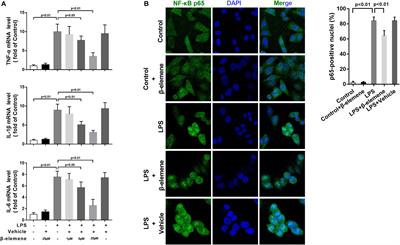 Suppression of the RAC1/MLK3/p38 Signaling Pathway by β-Elemene Alleviates Sepsis-Associated Encephalopathy in Mice